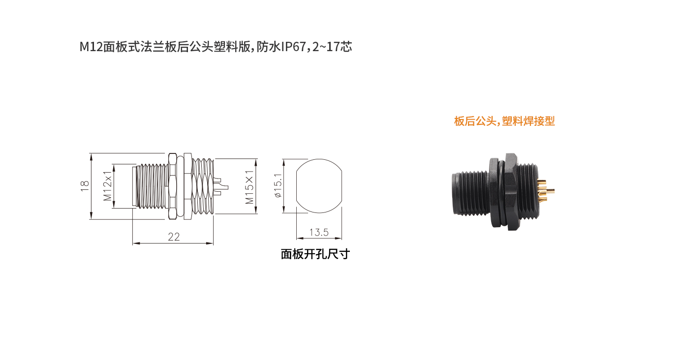 M12板后公頭 